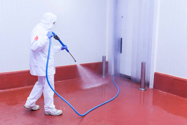 Professional Pressure Washing in Putnam Lake, NY